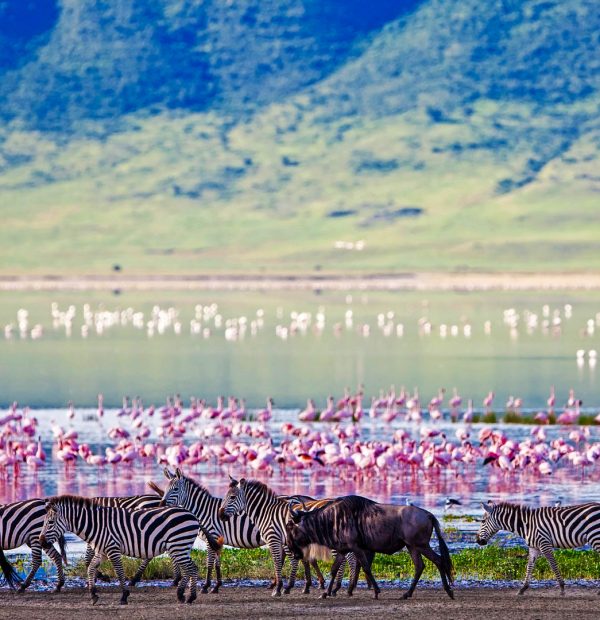 3 Days Tanzania Safari