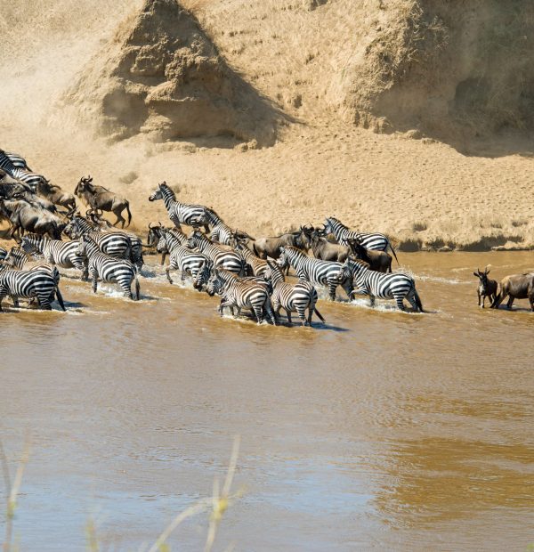 4 Days Unforgettable Safari