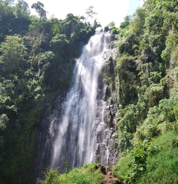 Materuni Waterfalls & Coffee Making Tour