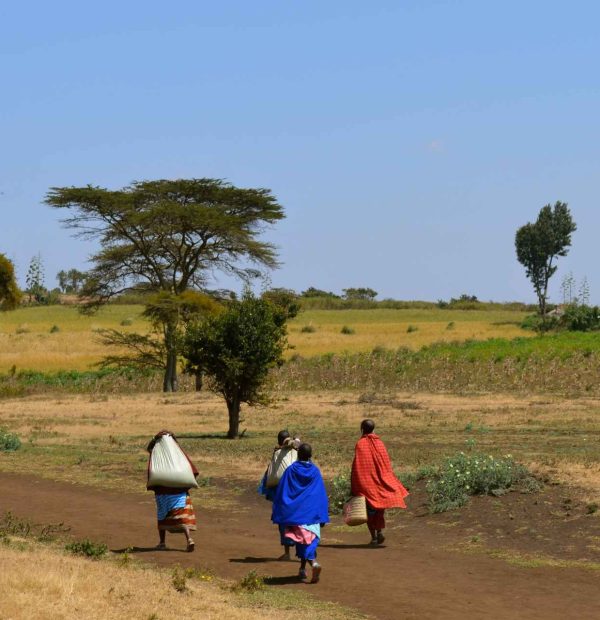 4 Days Monduli Juu Trek